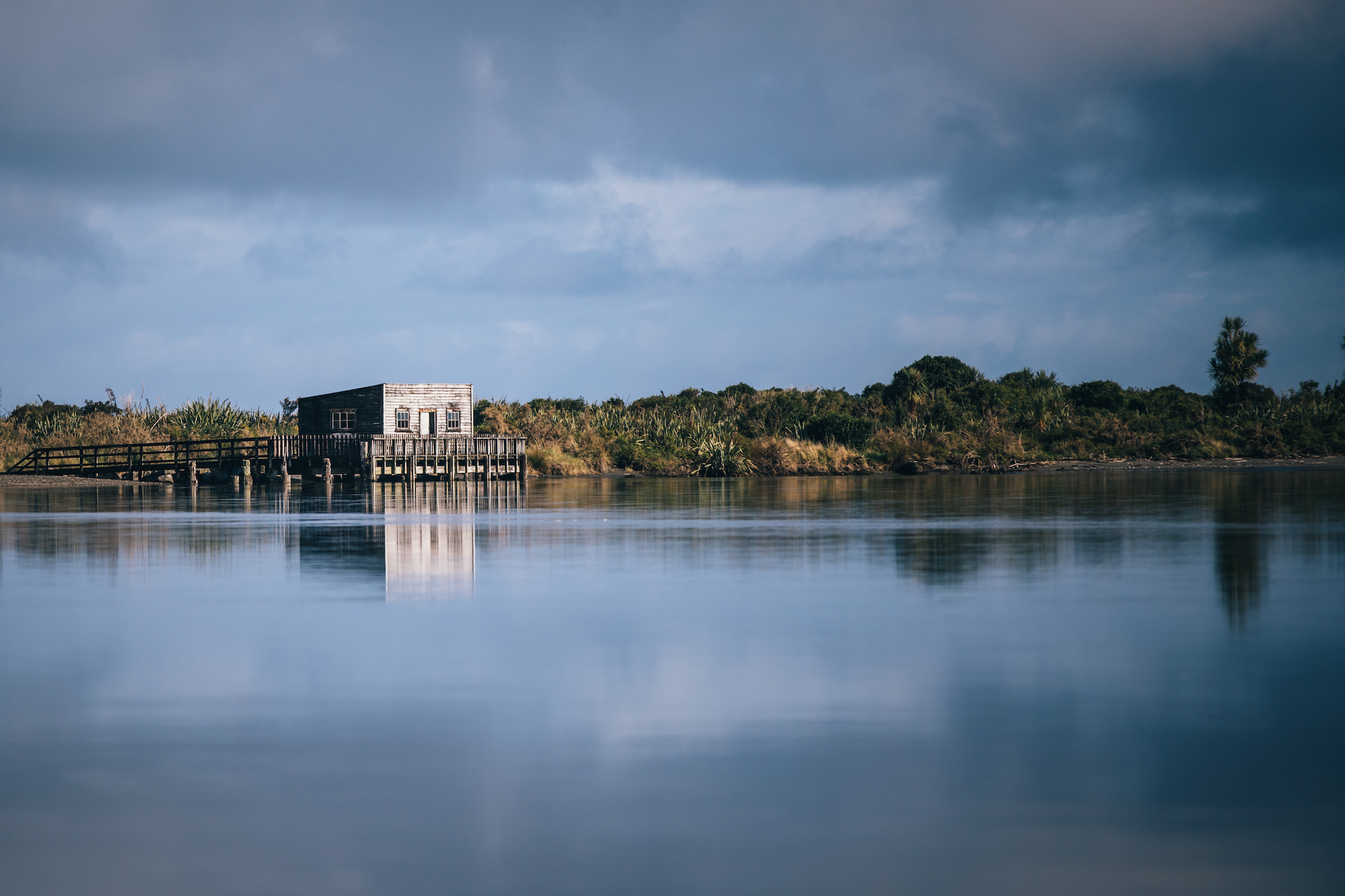 Read more about the article Searching for the elusive white heron in Ōkārito