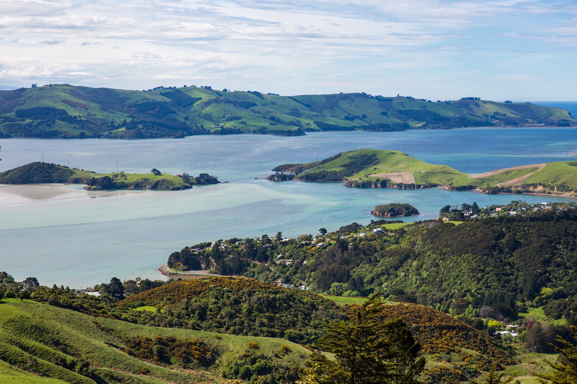 Read more about the article 6 experiences you can only have on the Otago Peninsula